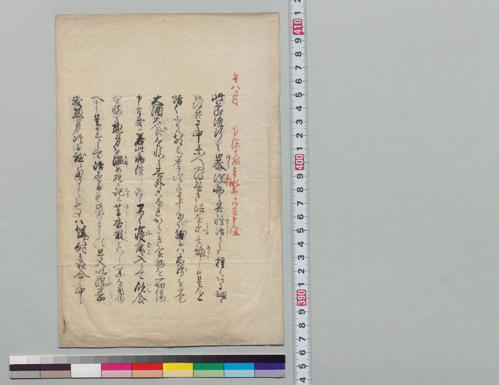 作品画像:暴瀉病療治法につき申渡