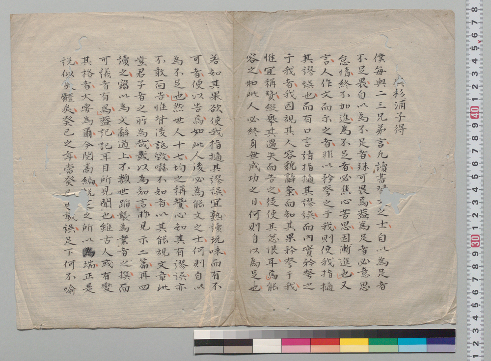 作品画像:与杉浦子得 他