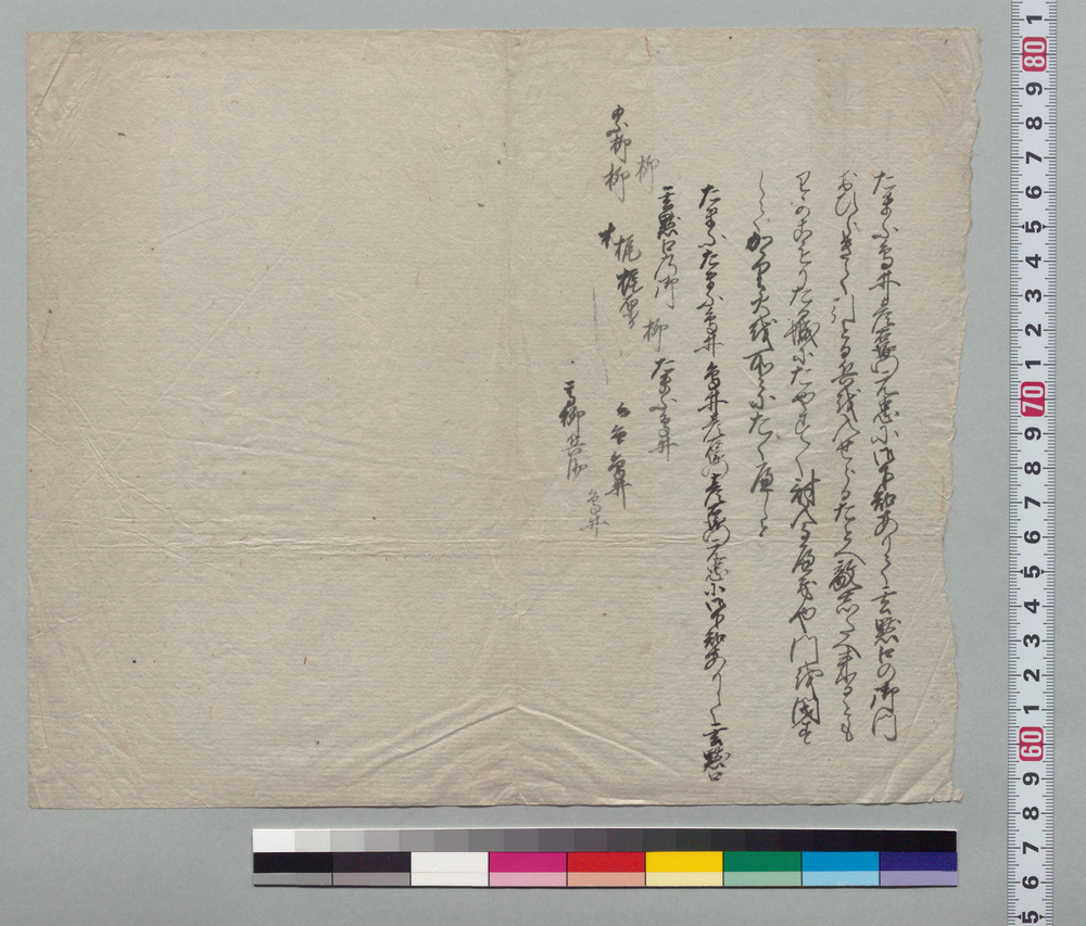 作品画像：[鳥井彦左衛門事書 断片]