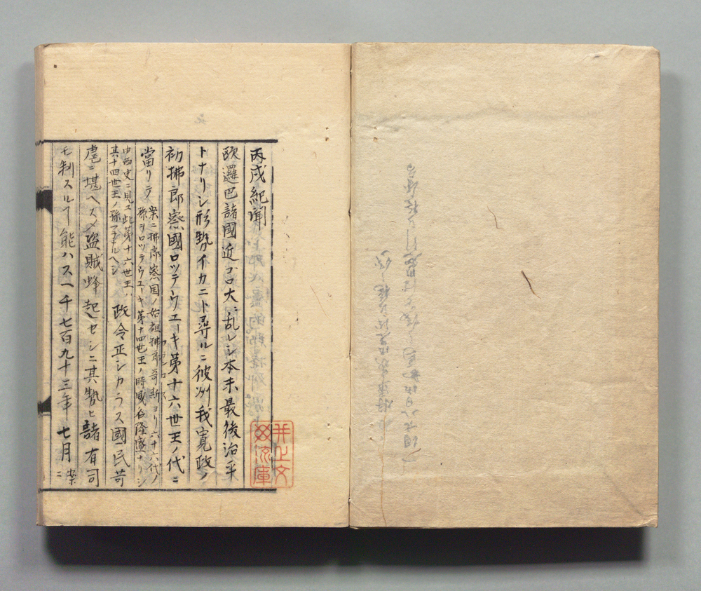 作品画像:丙戌紀聞