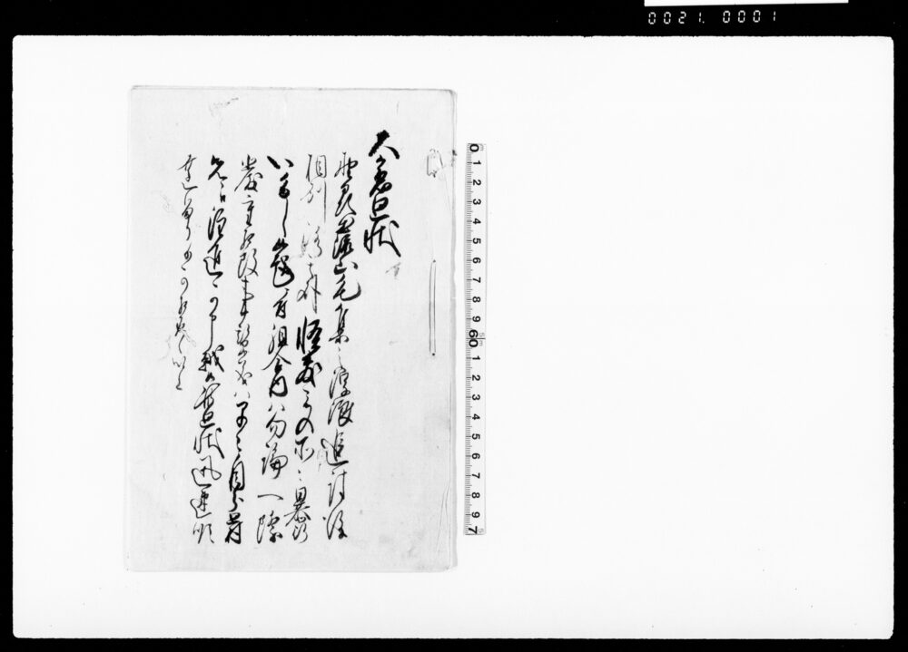作品画像:大急廻状