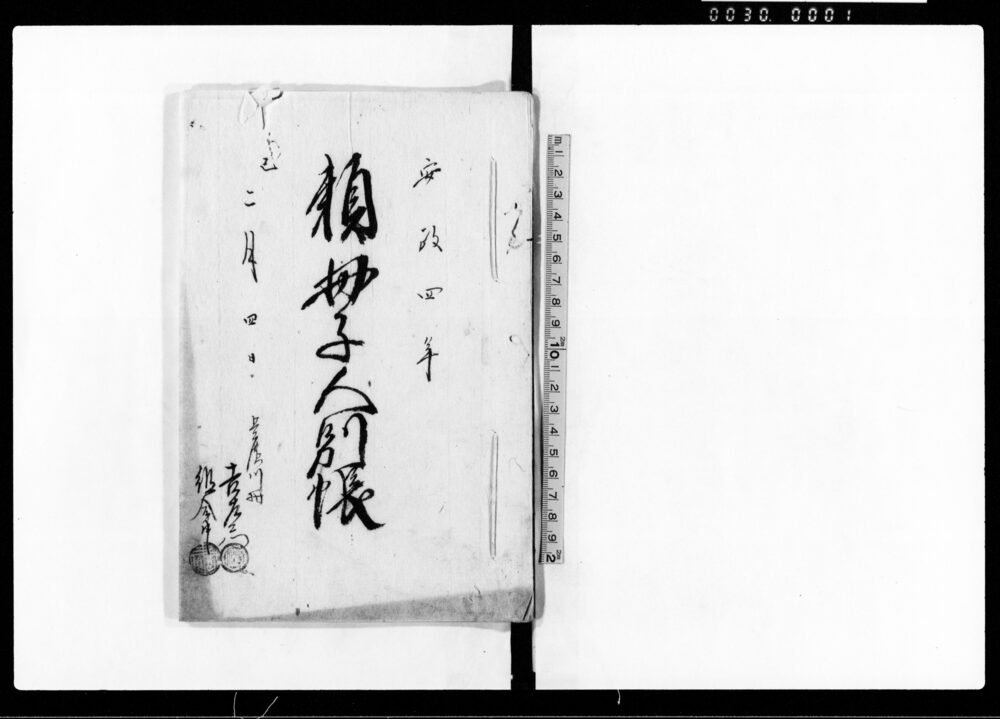 作品画像:頼母子人別帳