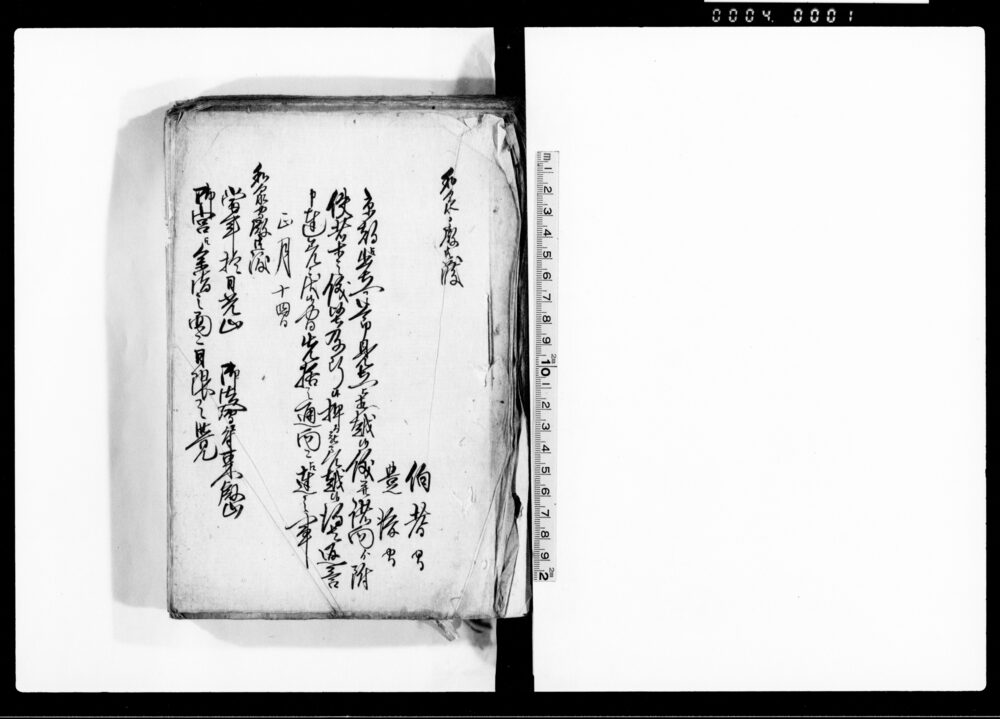 作品画像:(諸触達)
