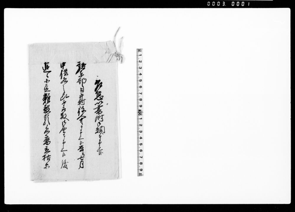 作品画像:乍恐以書附御願奉申上候