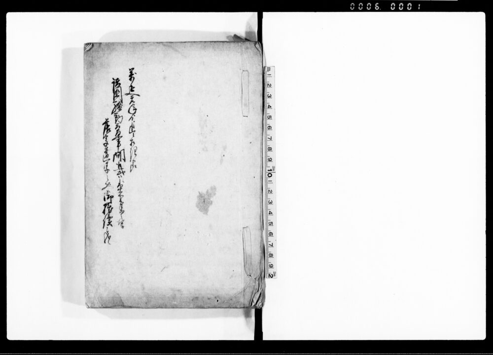 作品画像:(諸国騒動変事之写)