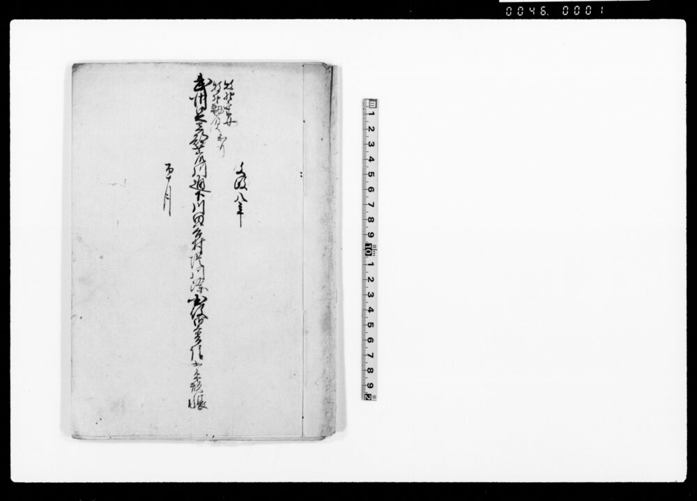 作品画像：武州足立郡荒川通下川田谷村堤川除国役御普請出来形帳