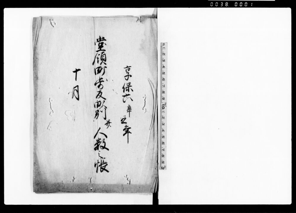 作品画像:堂領町歩反別并人数之帳
