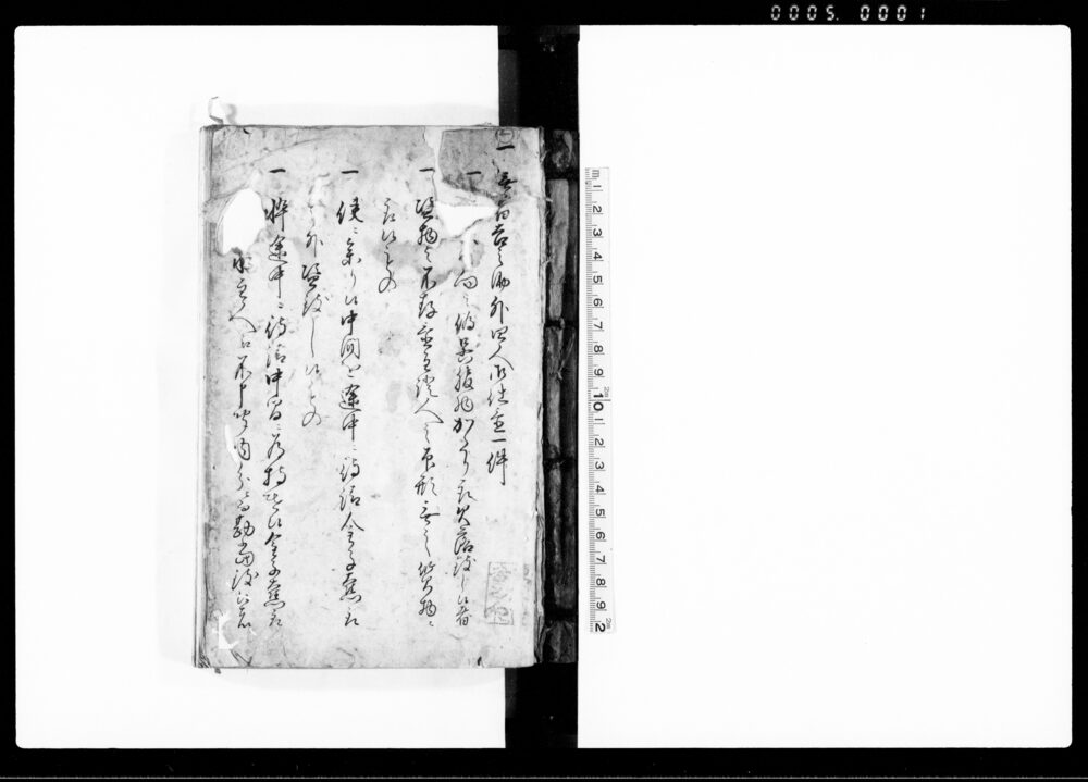 作品画像:(無宿吉之助外四人御仕置一件他)