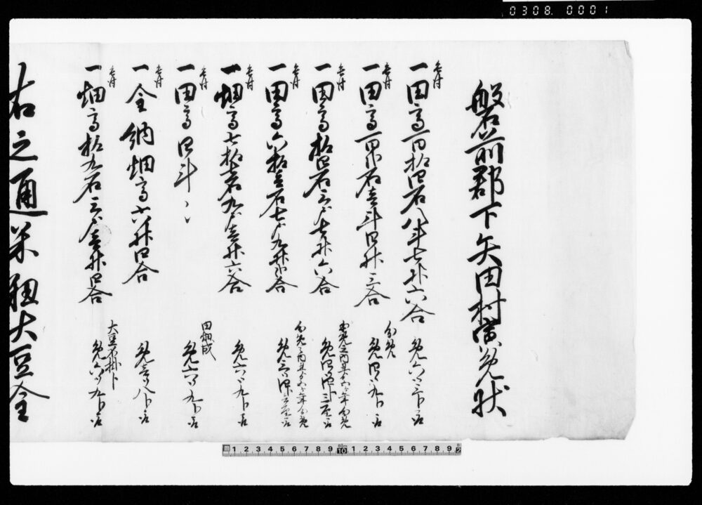 作品画像:磐前郡下矢田村寅免状 他