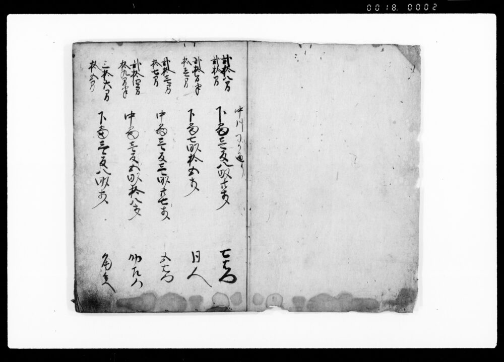 作品画像:武州埼玉郡羽生領上河崎村御検地帳