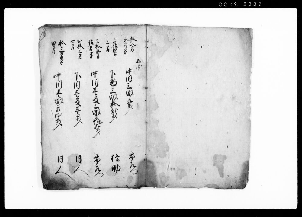 作品画像:武州埼玉郡羽生領上河崎村御検地帳
