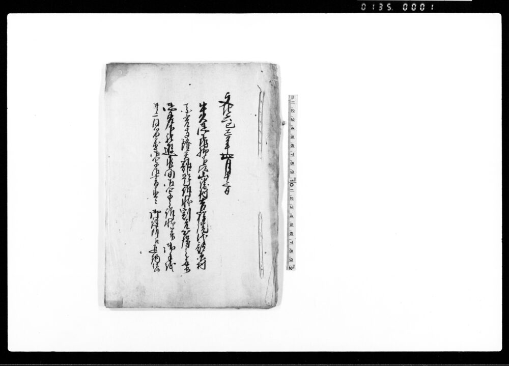 作品画像:(御写之訴状并御手紙)