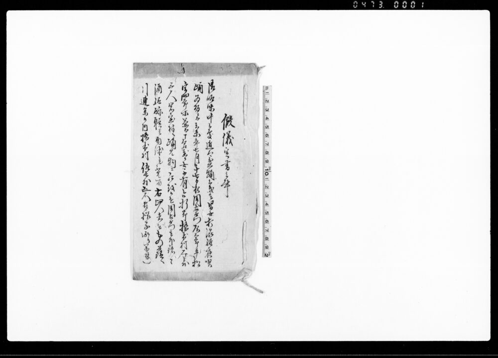 作品画像:假儀定書之事