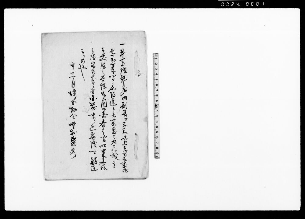 作品画像:(牛馬張綱之義ニ付触)
