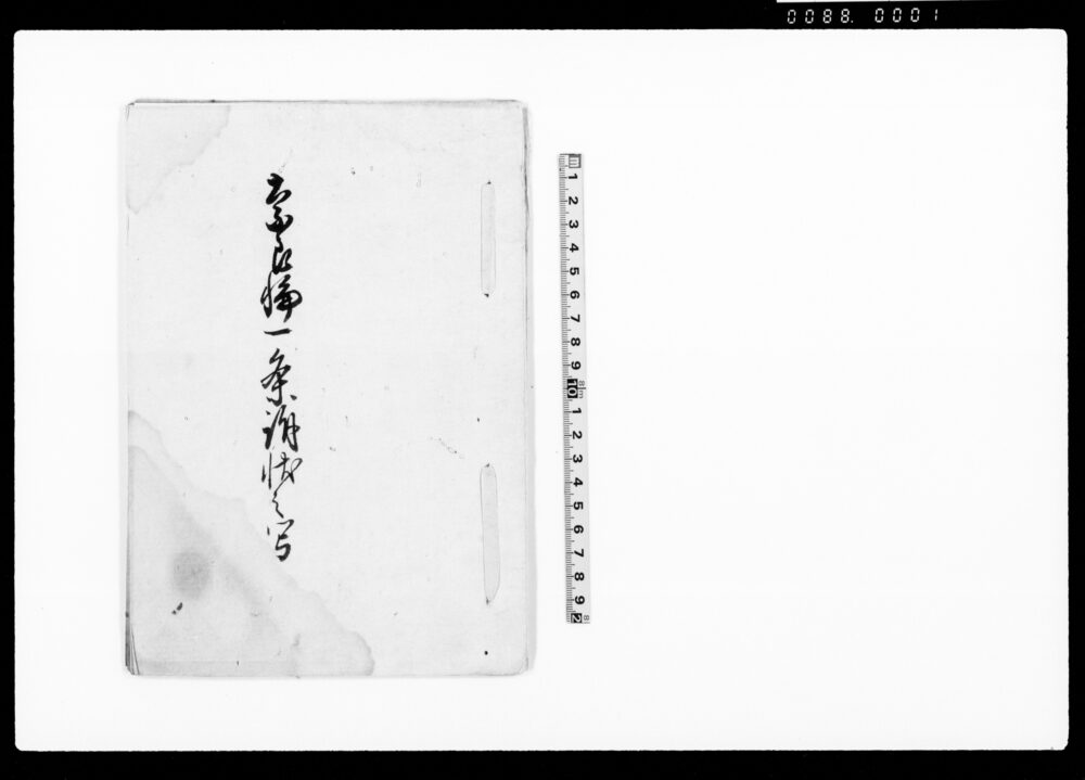 作品画像:奈良輪一条訴状之写