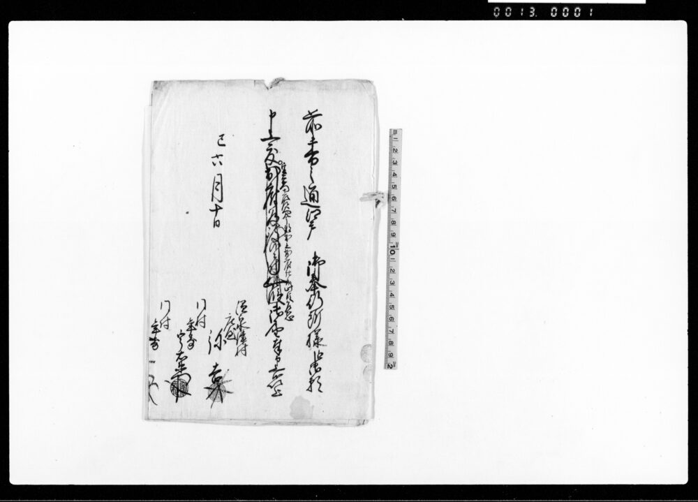 作品画像:(温泉津村請願書留)