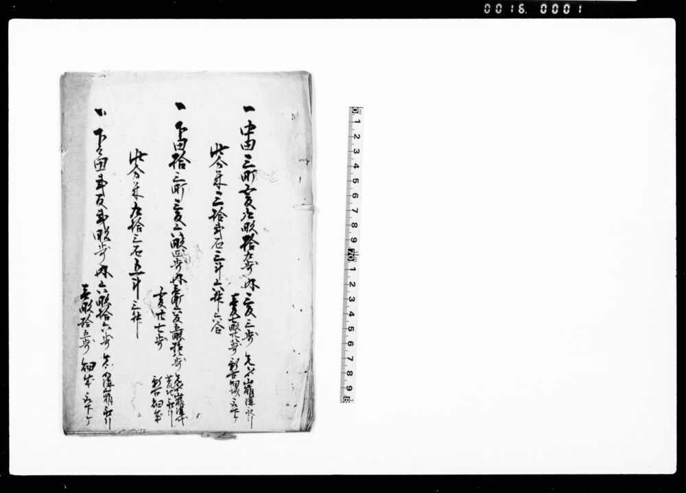 作品画像:(村明細帳)
