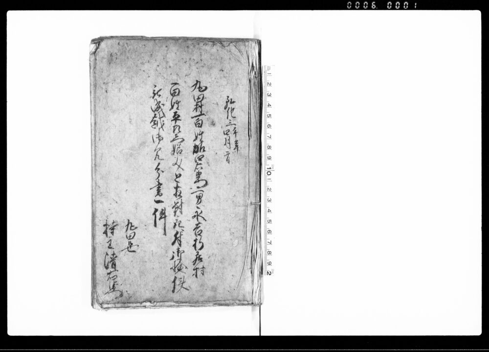 作品画像:丸田村百姓加四右衛門二男永吉杉居村百姓平左衛門娘みと