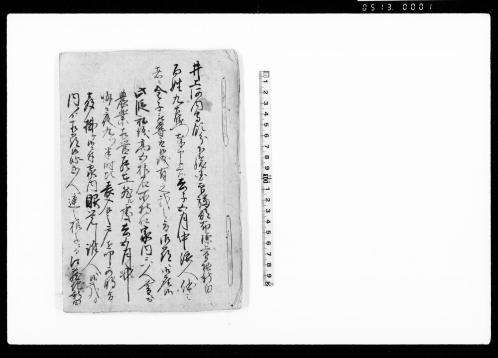 作品画像:(印旛郡布鎌上曽根新田内にて発生仕り候盗賊・欠落・打擲につき書状)