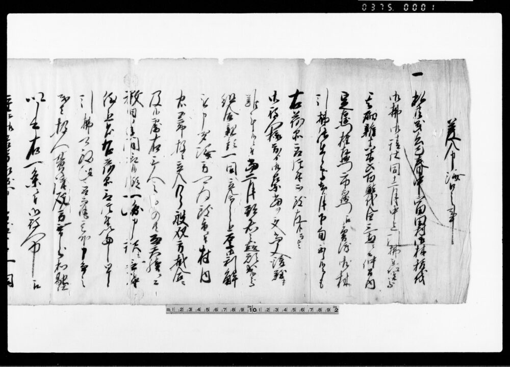作品画像:差入申済口之事(富田村御林御払雑古木600駄取片付につき内済)他
