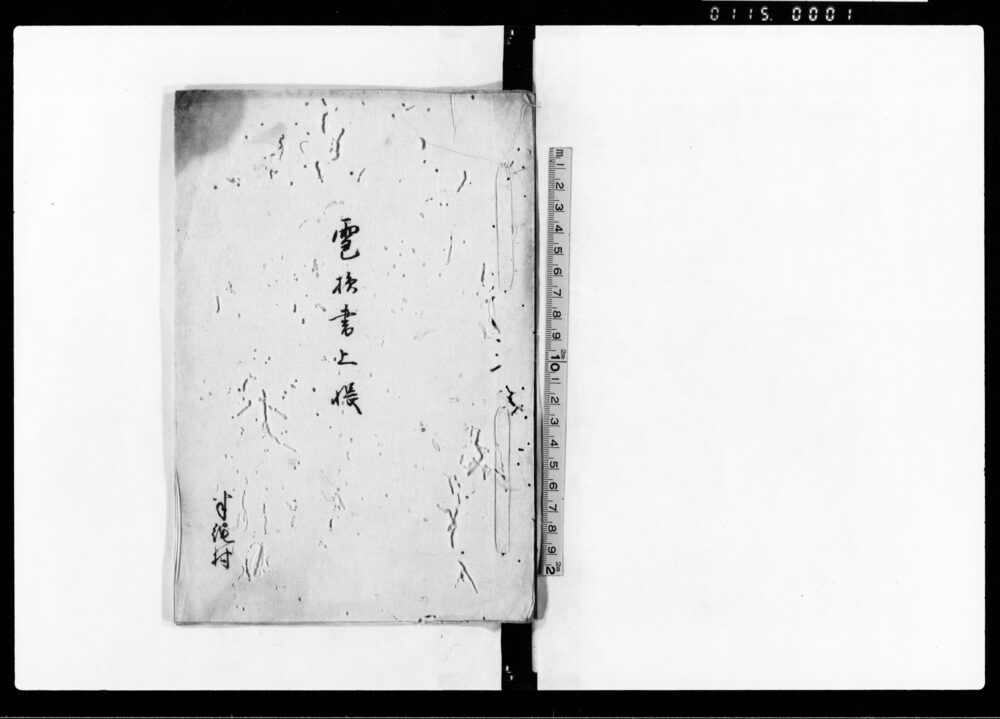 作品画像:雹損書上帳