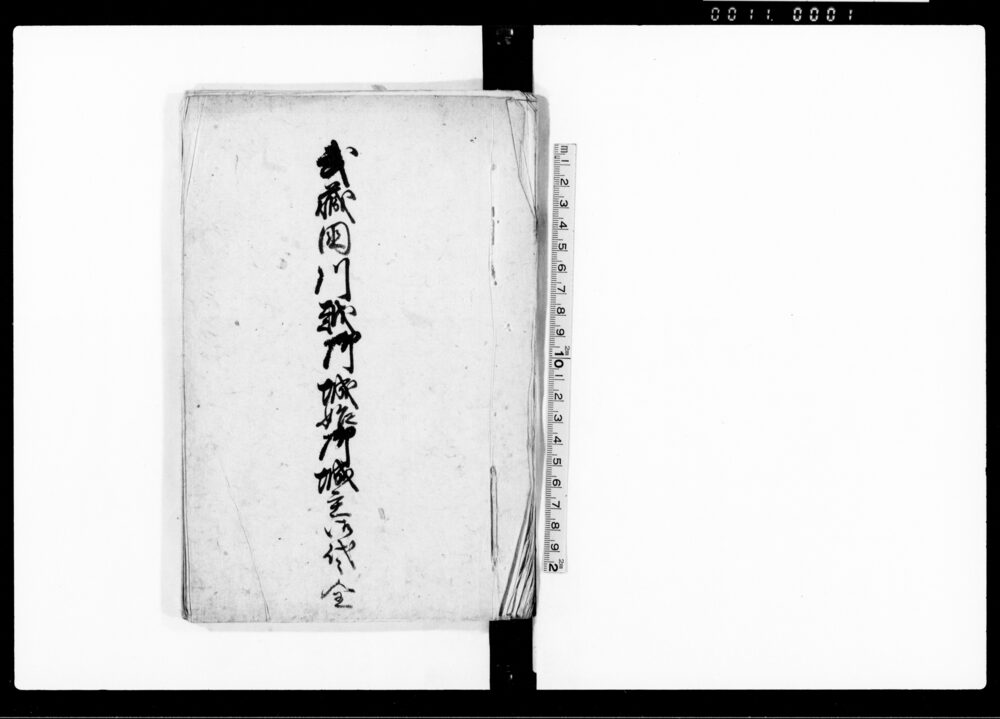 作品画像:武蔵国川越御城始御城主御代々 全