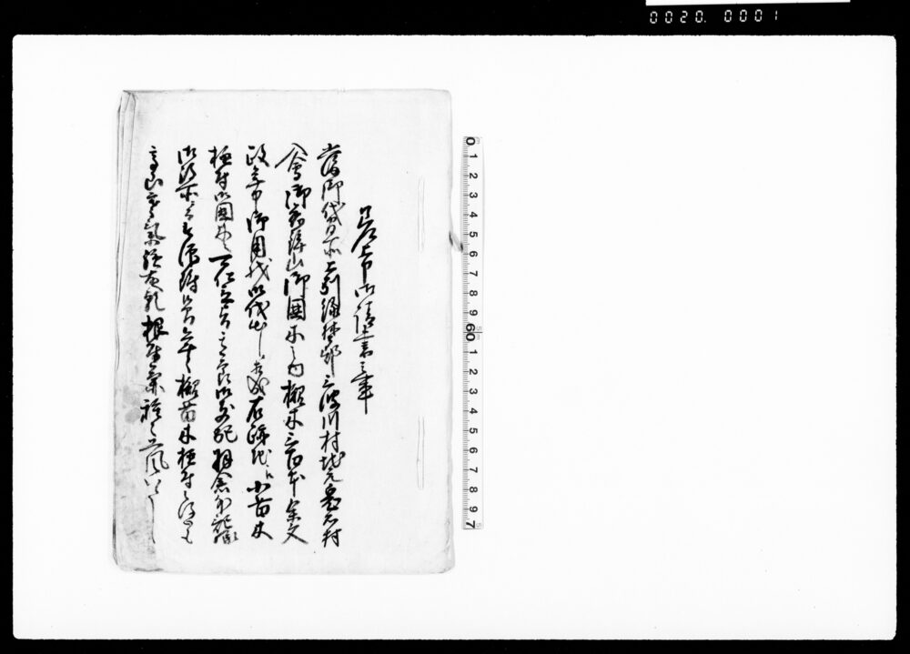 作品画像:差上申御請書之事