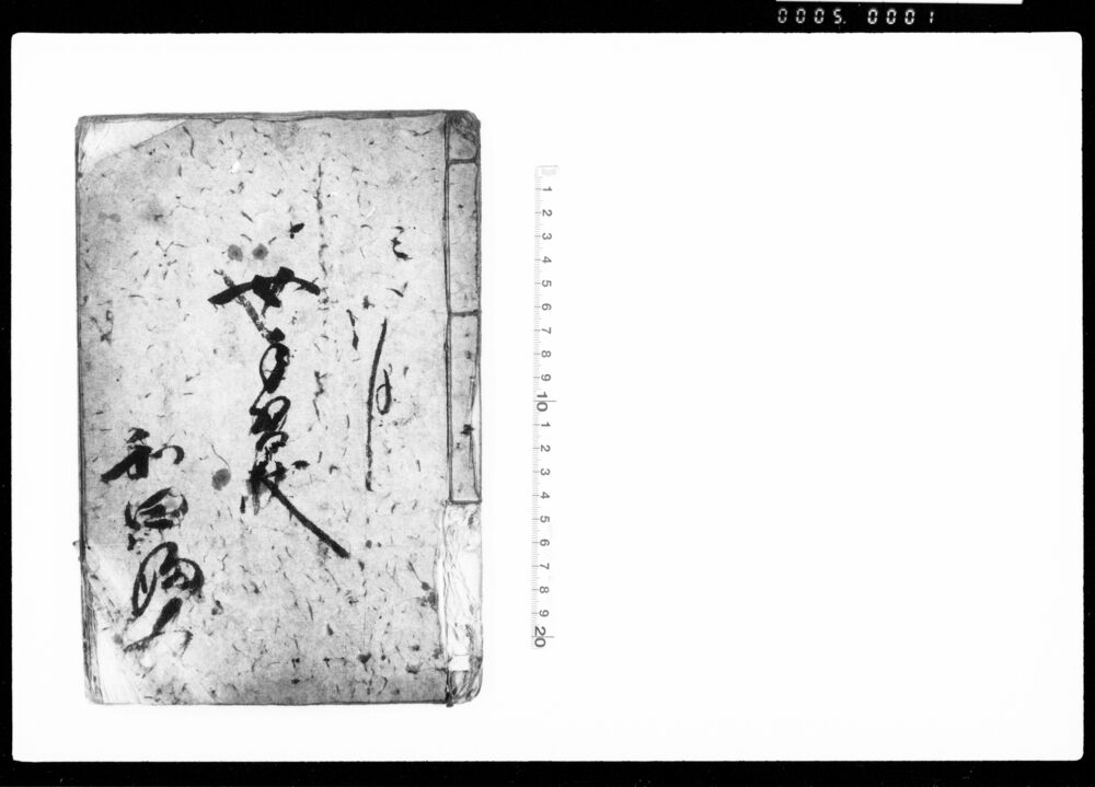 作品画像:女手習状