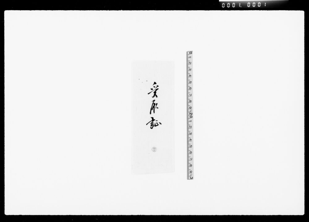 作品画像:受取証