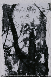 作品画像: