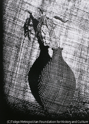 作品画像:風B