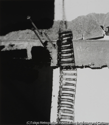 作品画像: