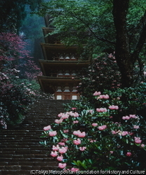 作品画像:しゃくなげの室生寺塔