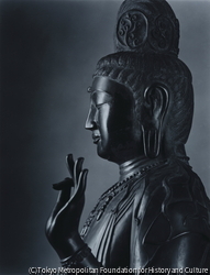 作品画像:薬師寺東院堂 聖観音像