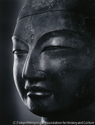 作品画像:興福寺仏頭(旧東金堂本尊)