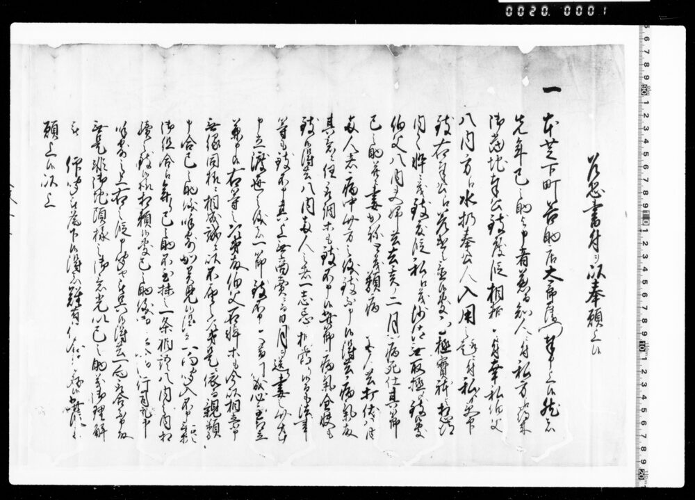 作品画像:乍恐書付ヲ以奉願上候(伯父家名存続のため養子巳之助説諭願につき)