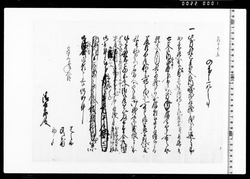 作品画像:入置申一札之事(巳之助亡養父跡式相続一件につき)