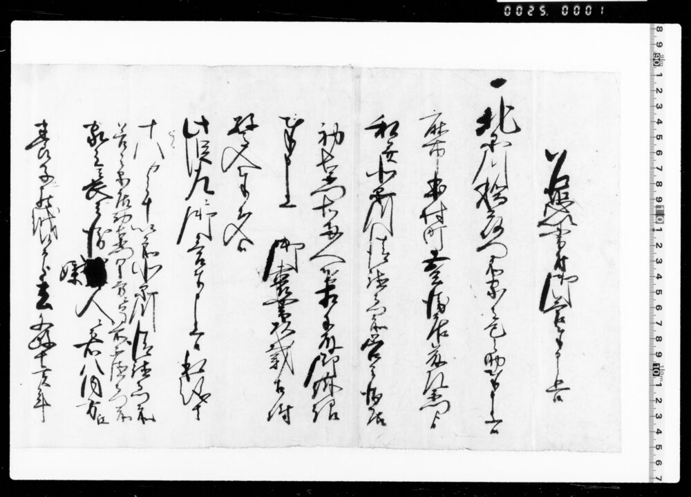 乍恐以書付御答奉申上候(巳之助亡養父跡式相続一件につき)