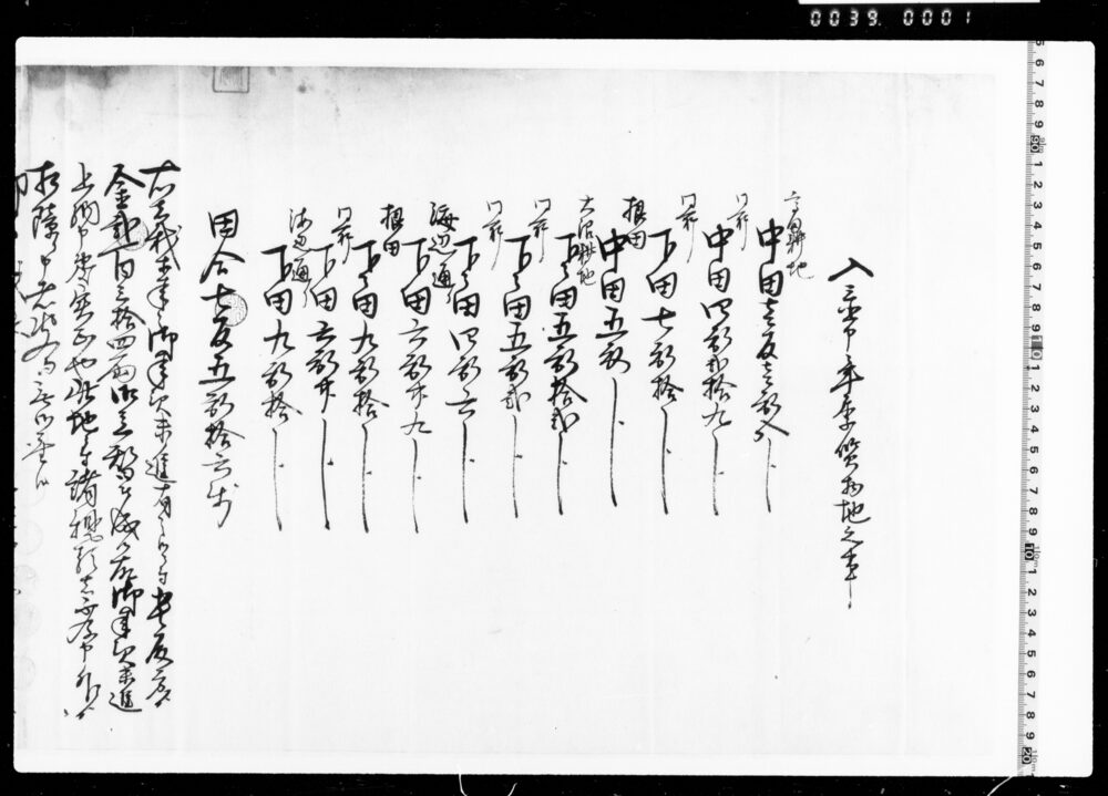 作品画像:入置申年季質物地之事(金円立替につき)