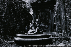 作品画像: