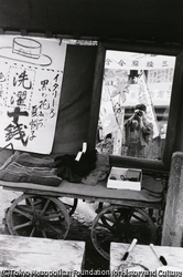 作品画像:浅草公園奥山(台東区浅草二丁目)