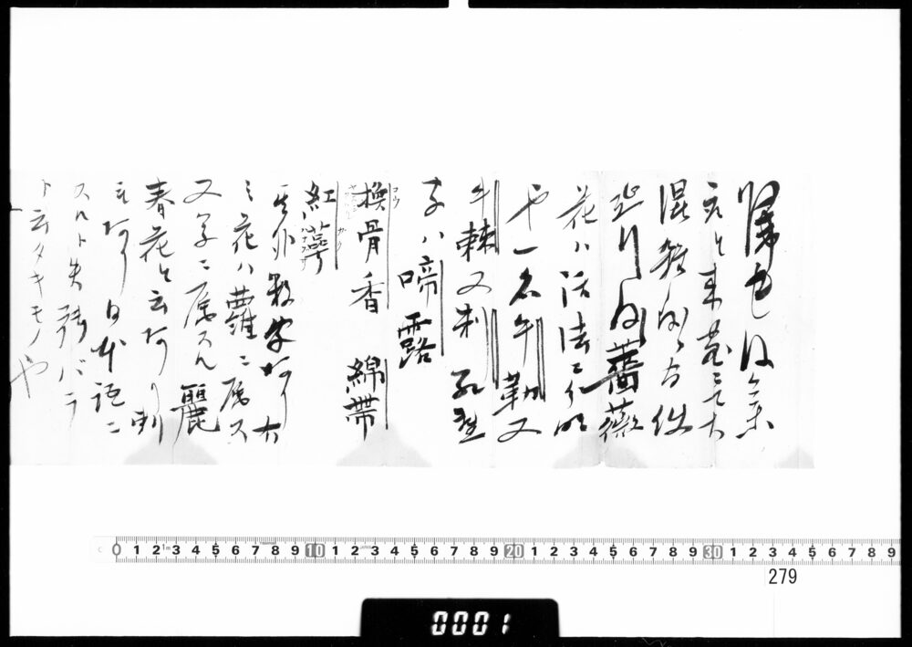 作品画像：書状(薔薇の異称につき)