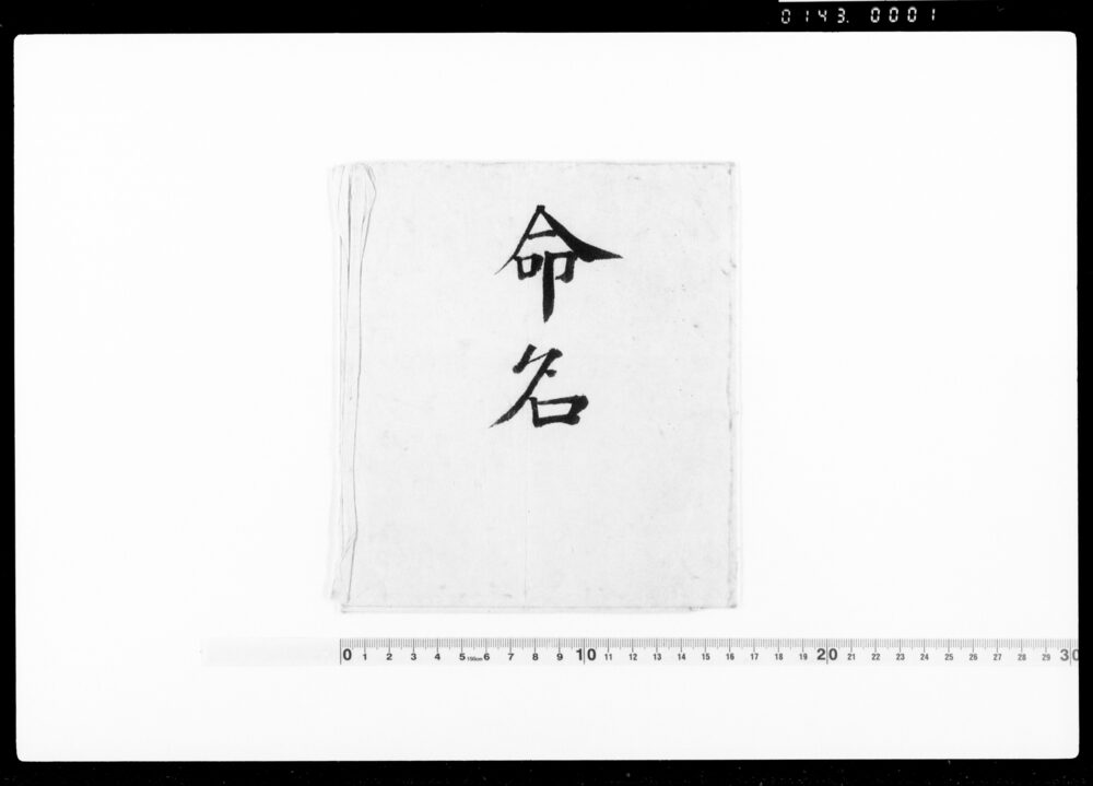 作品画像:命名状(折紙)