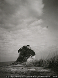 作品画像:
