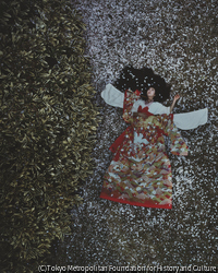作品画像：