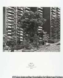 作品画像:楠の木 基町住宅団地 1,200m