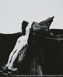 作品画像:*