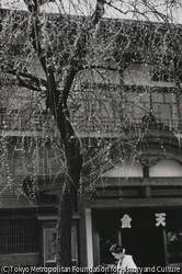 作品画像: