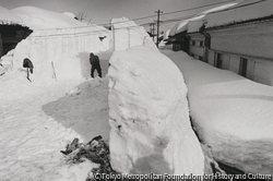 作品画像:高田豪雪