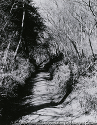 作品画像：鎌倉街道